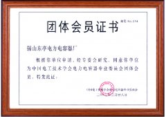 团体会员证书