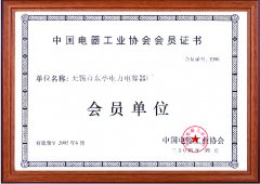 中国电器工业协会会员证书